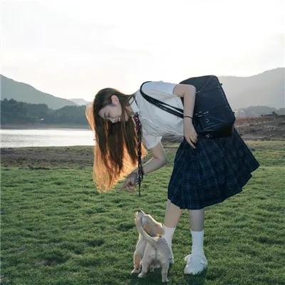 雄狗狗大冒险